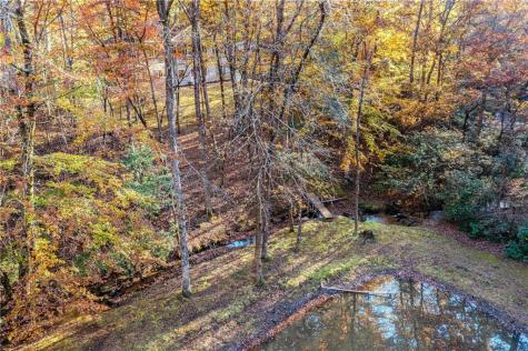 339 Wehunt Road Blue Ridge GA 30513