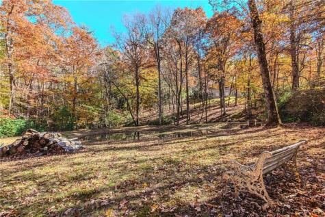 339 Wehunt Road Blue Ridge GA 30513