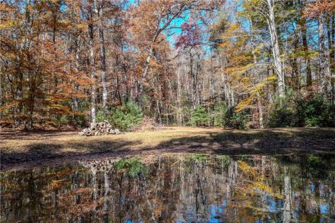 339 Wehunt Road Blue Ridge GA 30513