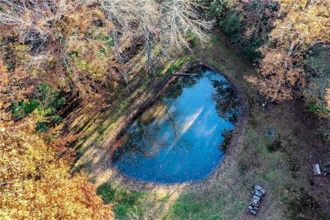 339 Wehunt Road Blue Ridge GA 30513