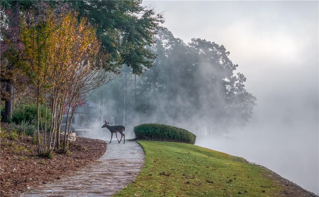 310 Clear Creek Court Roswell GA 30076