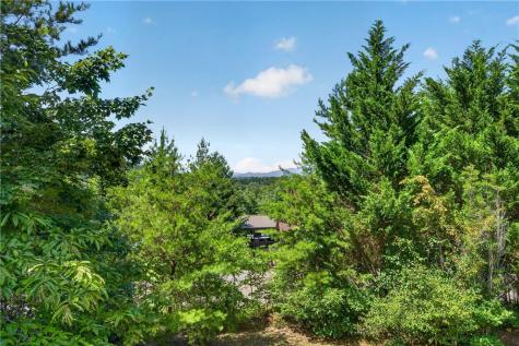 78 Mountain Peaks Lane Blue Ridge GA 30513