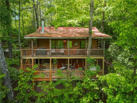 203 Mountain View Drive Cherry Log GA 30522