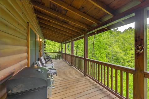 203 Mountain View Drive Cherry Log GA 30522