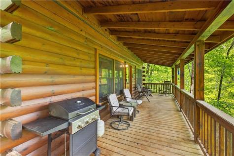 203 Mountain View Drive Cherry Log GA 30522