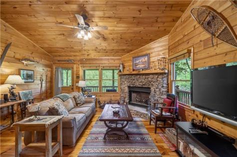 203 Mountain View Drive Cherry Log GA 30522