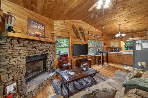 203 Mountain View Drive Cherry Log GA 30522