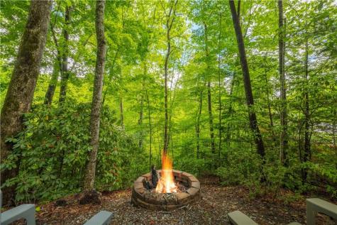 203 Mountain View Drive Cherry Log GA 30522