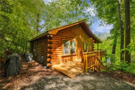203 Mountain View Drive Cherry Log GA 30522