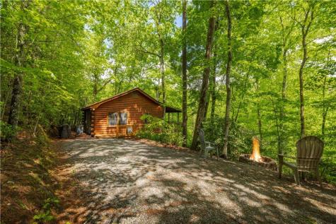 203 Mountain View Drive Cherry Log GA 30522