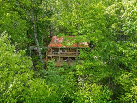 203 Mountain View Drive Cherry Log GA 30522