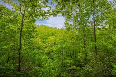203 Mountain View Drive Cherry Log GA 30522