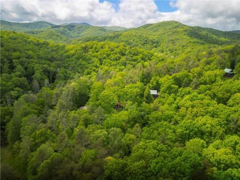 203 Mountain View Drive Cherry Log GA 30522