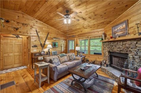 203 Mountain View Drive Cherry Log GA 30522