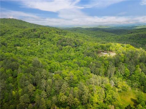 203 Mountain View Drive Cherry Log GA 30522