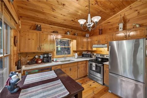 203 Mountain View Drive Cherry Log GA 30522