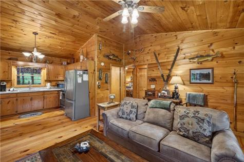 203 Mountain View Drive Cherry Log GA 30522