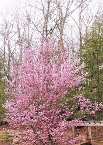 1399 Old Parker Place Road Ellijay GA 30536