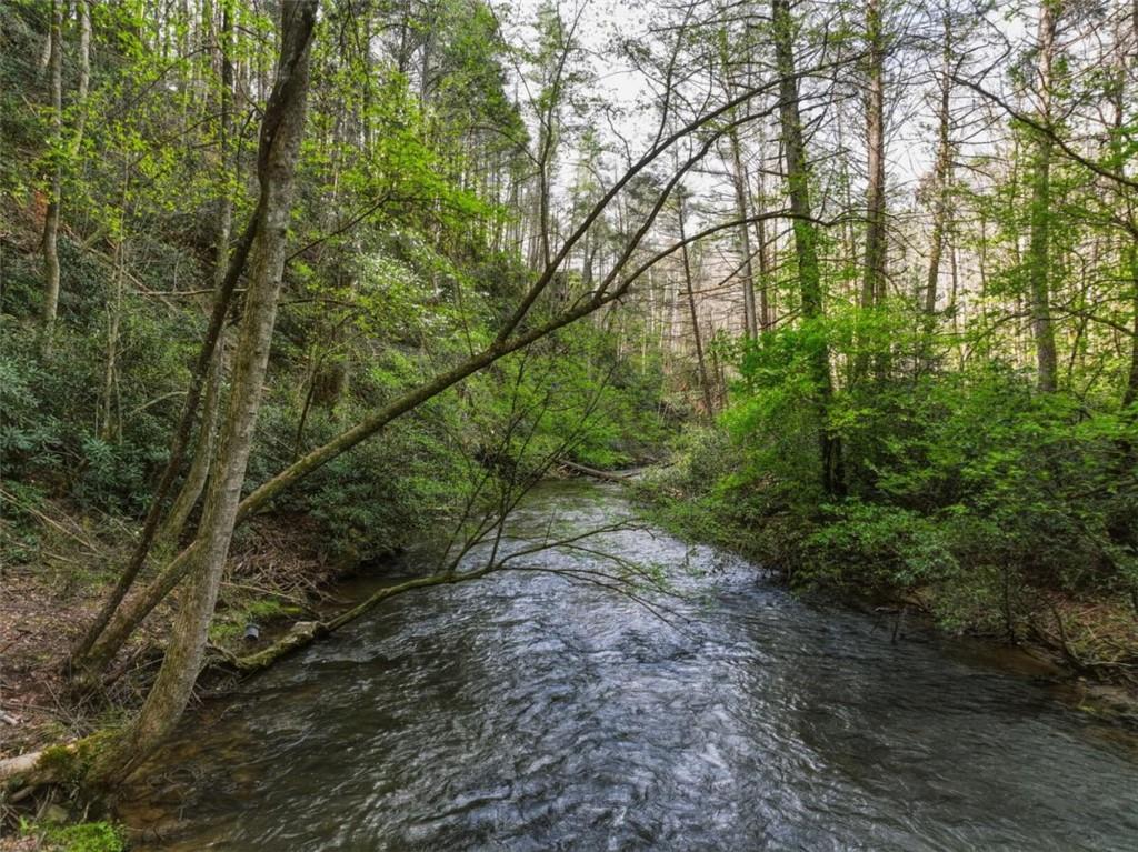 58 River Road Cherry Log GA 30522