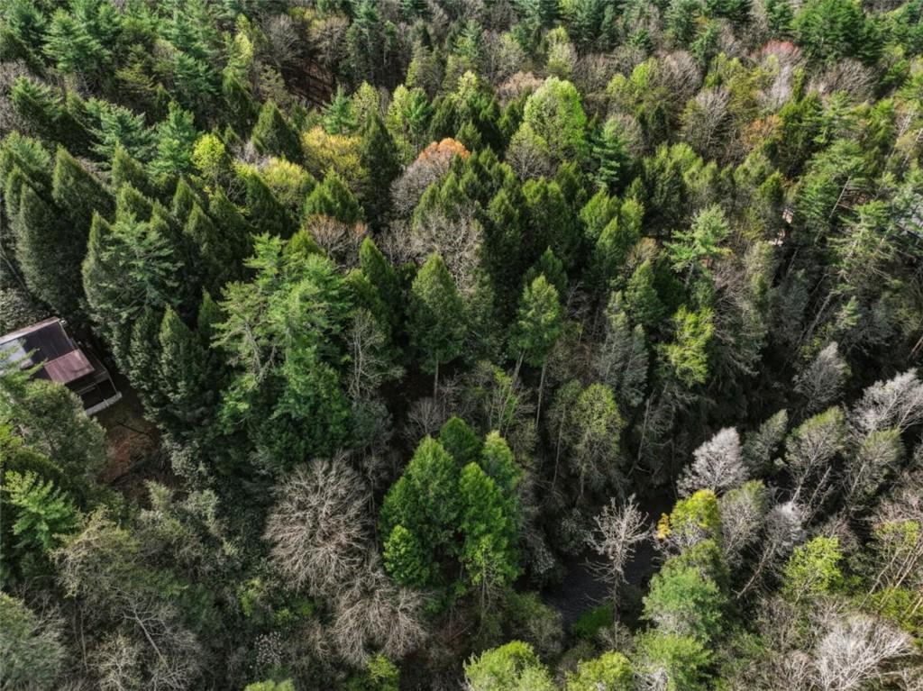 58 River Road Cherry Log GA 30522