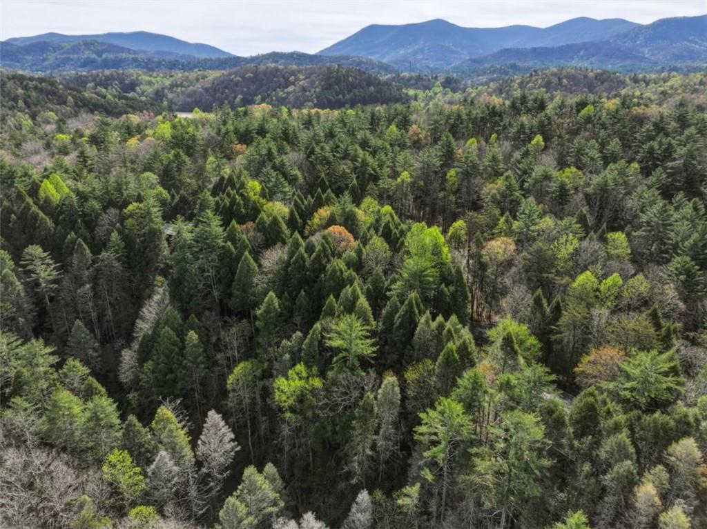 58 River Road Cherry Log GA 30522
