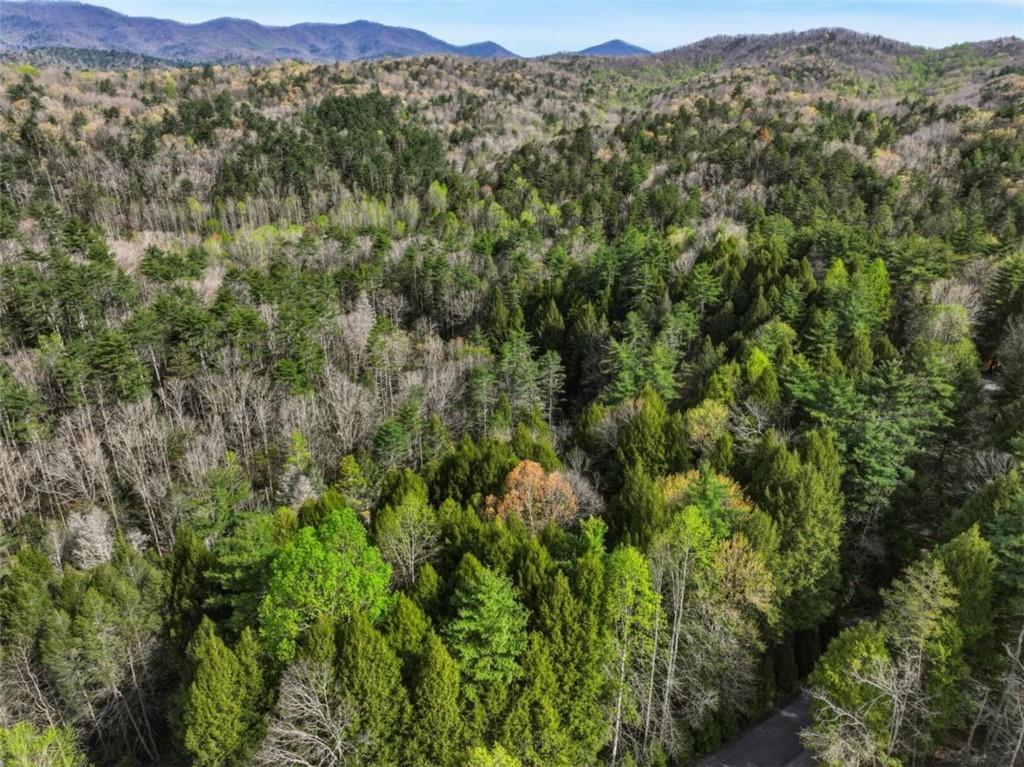 58 River Road Cherry Log GA 30522