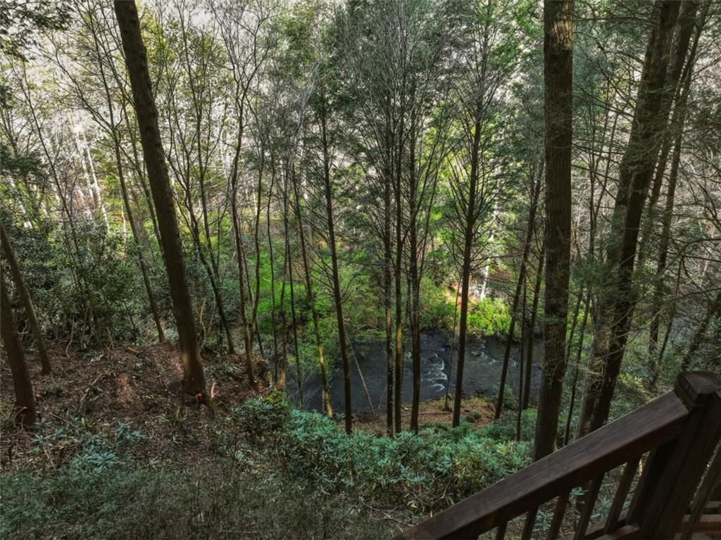 58 River Road Cherry Log GA 30522