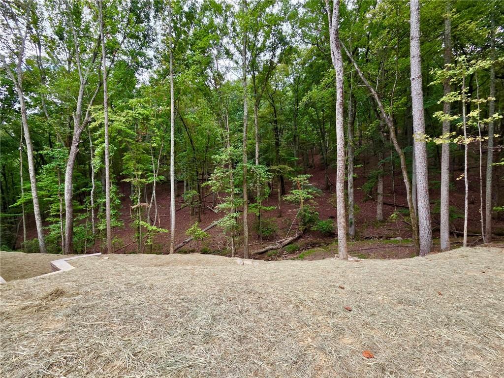 138 Lakewood Drive Waleska GA 30183