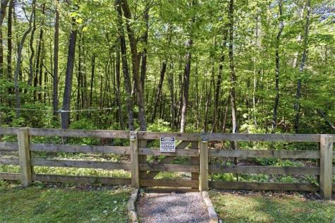 4956 Burnt Mountain Road Ellijay GA 30536