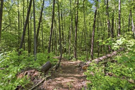 4956 Burnt Mountain Road Ellijay GA 30536