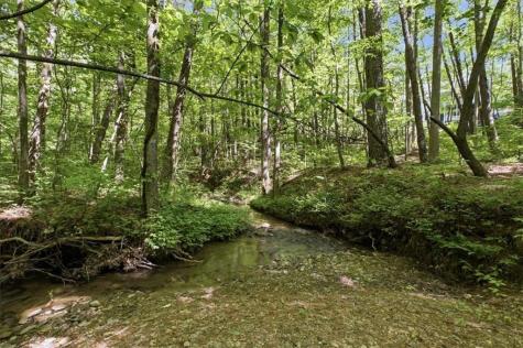 4956 Burnt Mountain Road Ellijay GA 30536