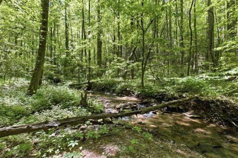 4956 Burnt Mountain Road Ellijay GA 30536