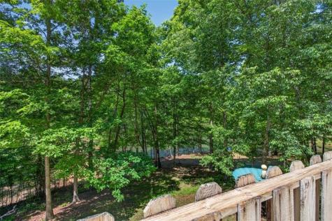281 Dogwood Circle Ellijay GA 30540