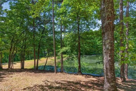 281 Dogwood Circle Ellijay GA 30540