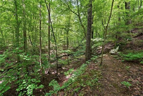 78 Ripple Creek Court Jasper GA 30143