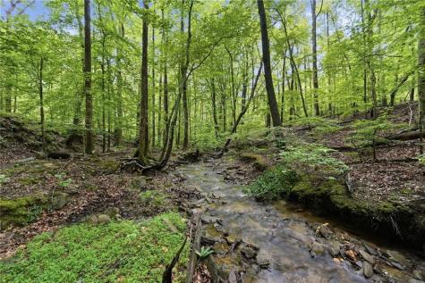 78 Ripple Creek Court Jasper GA 30143