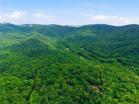 78 Ripple Creek Court Jasper GA 30143