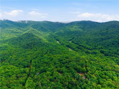 78 Ripple Creek Court Jasper GA 30143