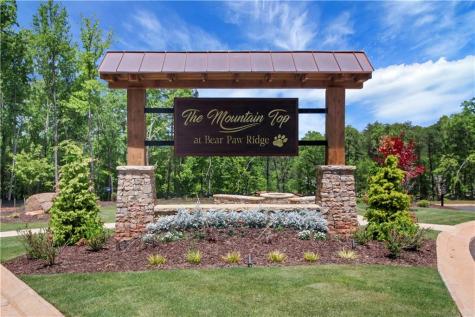 30 Overlook Cove Dahlonega GA 30533
