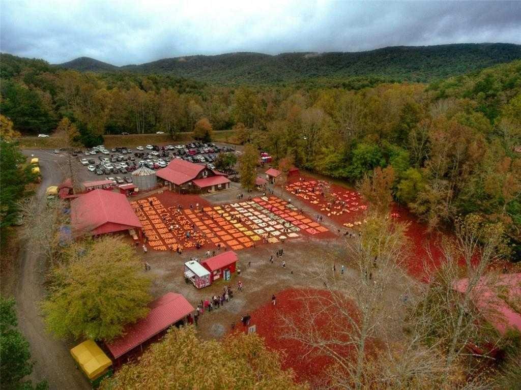270 Thunder Valley Dawsonville GA 30534