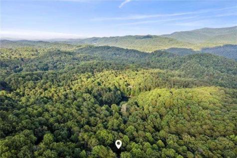 889 Granny Branch Drive Blue Ridge GA 30513