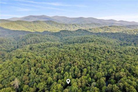 889 Granny Branch Drive Blue Ridge GA 30513