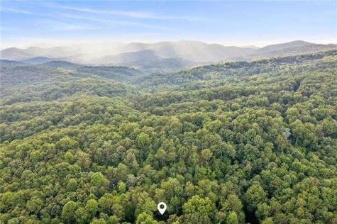 889 Granny Branch Drive Blue Ridge GA 30513
