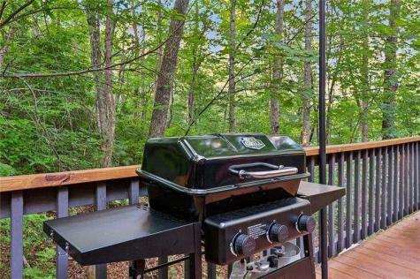 889 Granny Branch Drive Blue Ridge GA 30513