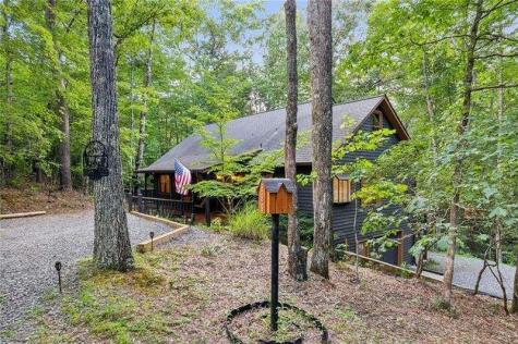 889 Granny Branch Drive Blue Ridge GA 30513