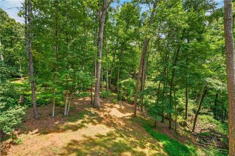 649 Power Dam Road Blue Ridge GA 30513
