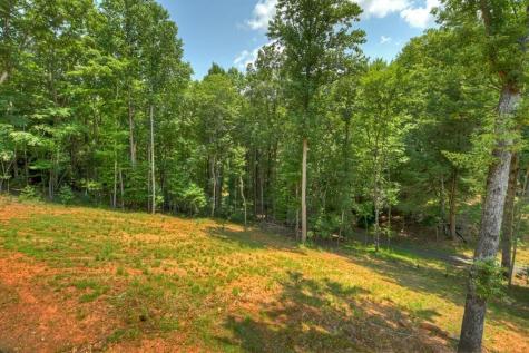 607 Satsuma Court S Ellijay GA 30540