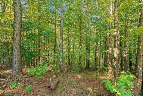 620 Foxpaw Leaf Lane Ellijay GA 30536