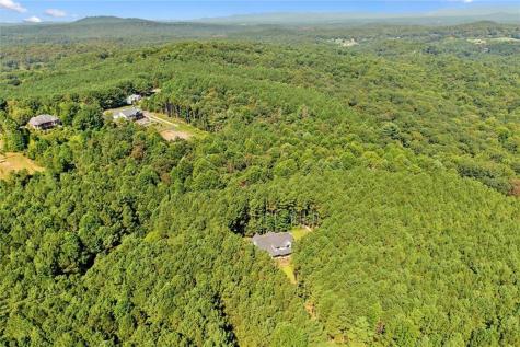 620 Foxpaw Leaf Lane Ellijay GA 30536