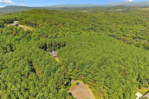620 Foxpaw Leaf Lane Ellijay GA 30536